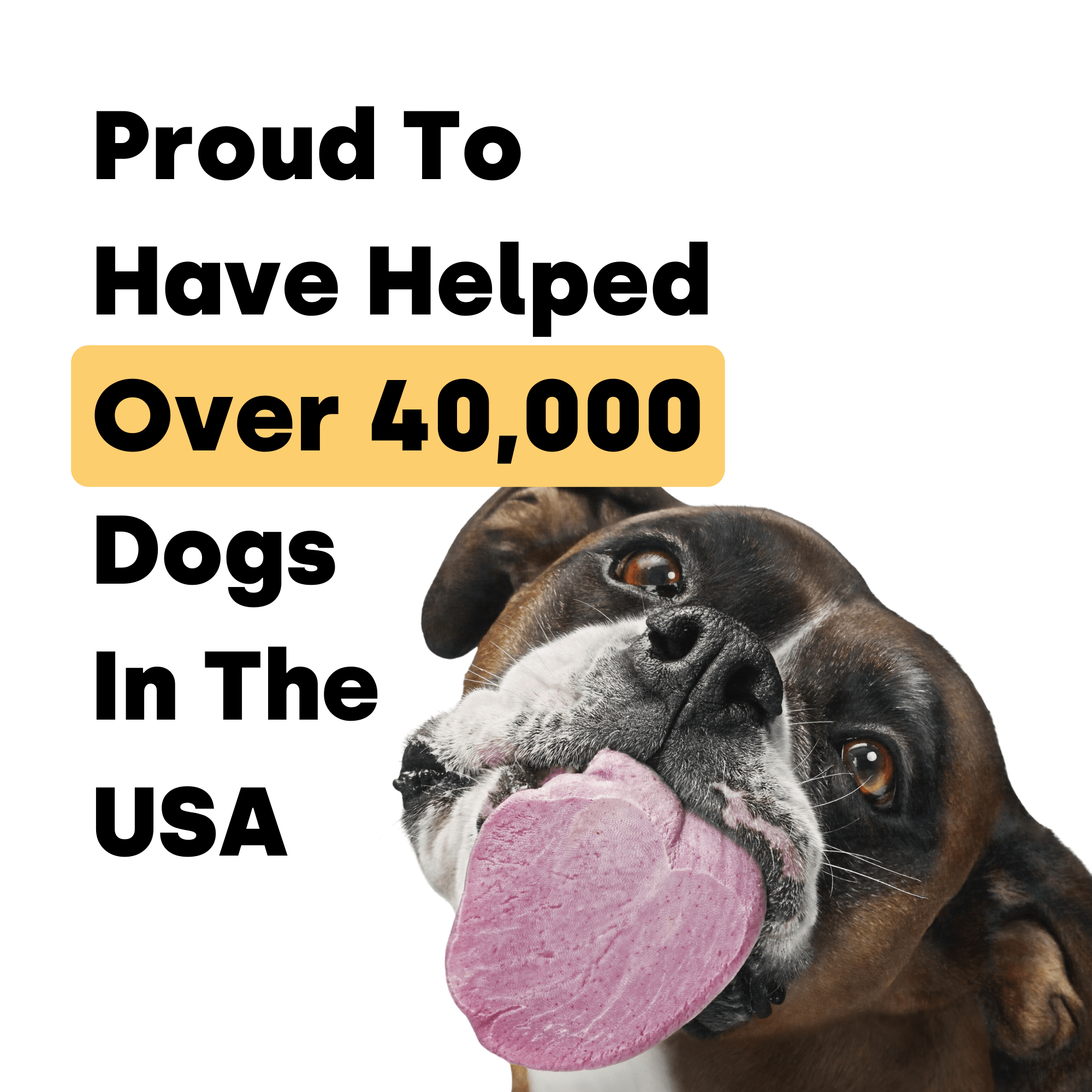 Container of Kayode Doggie Greens chews for dogs, promoting gut, skin, energy, and immunity.