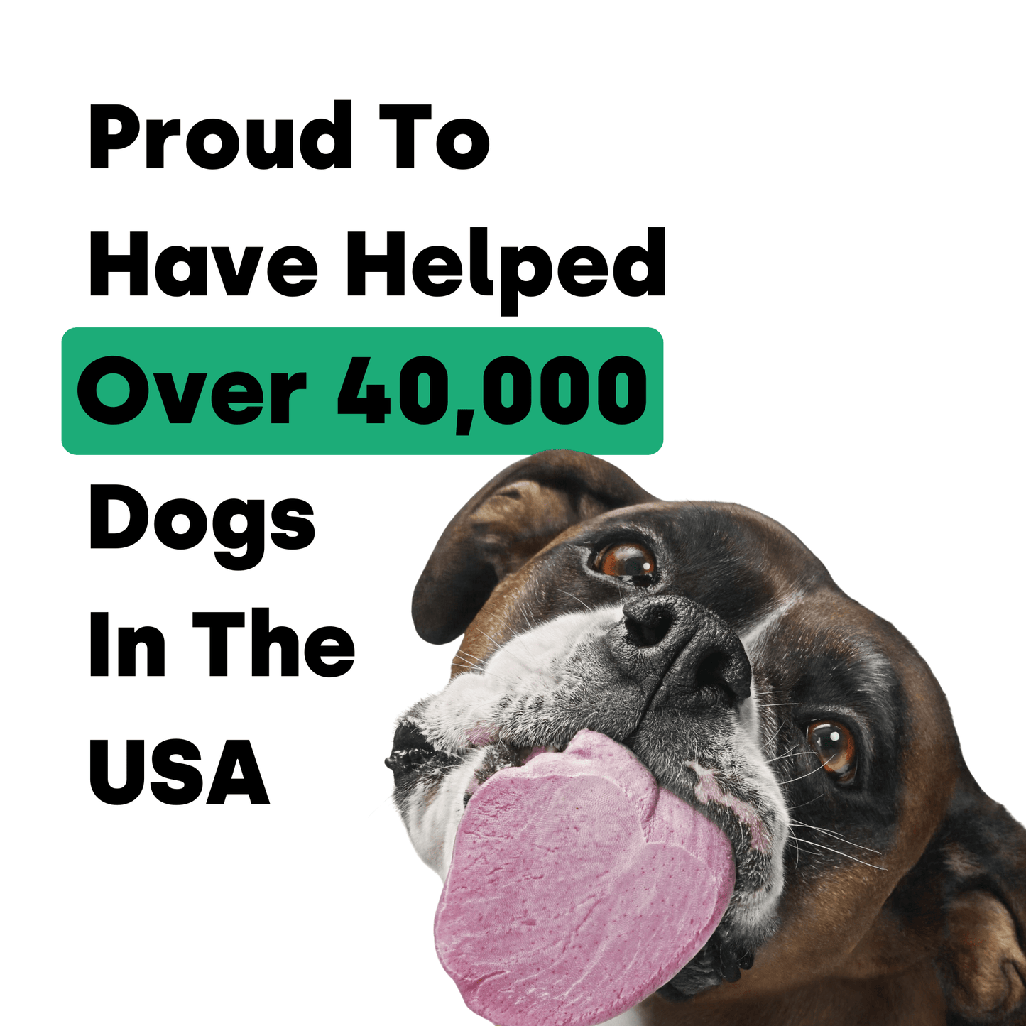 Canine NutriGreens