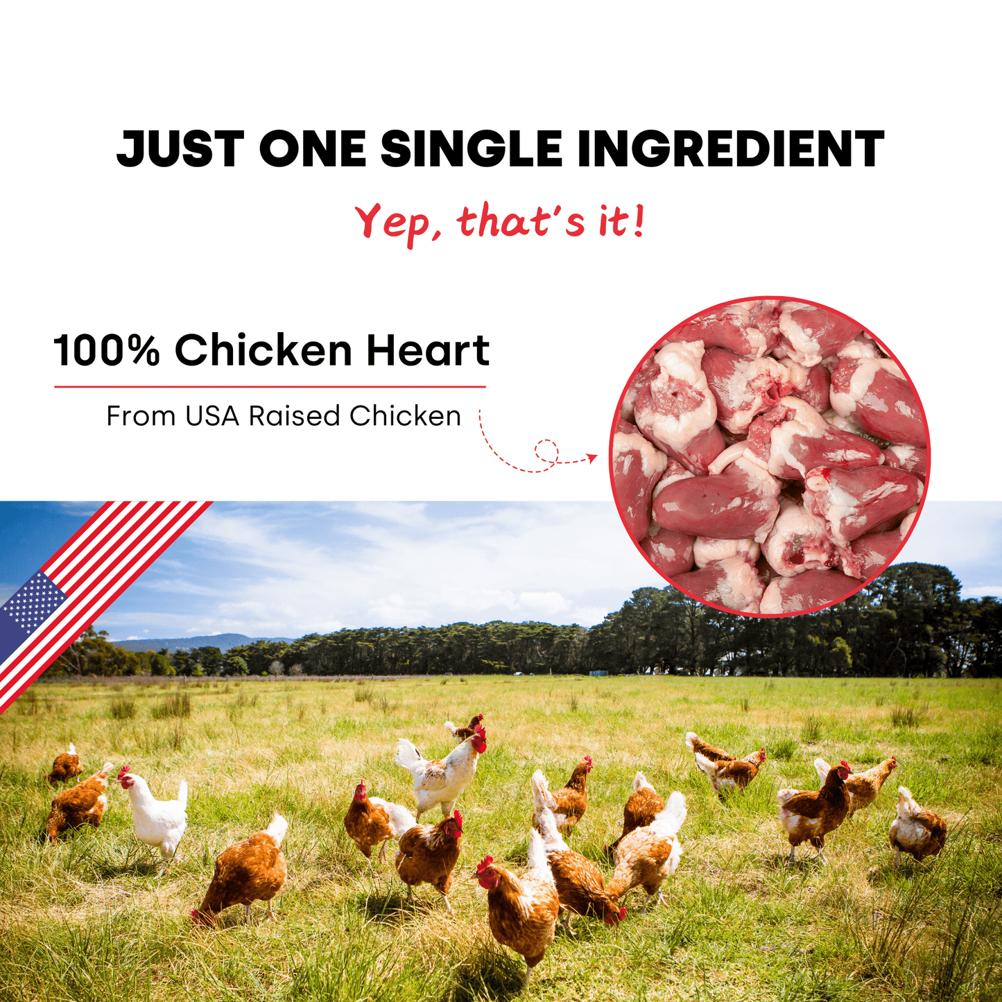 Chicken Hearts Treats