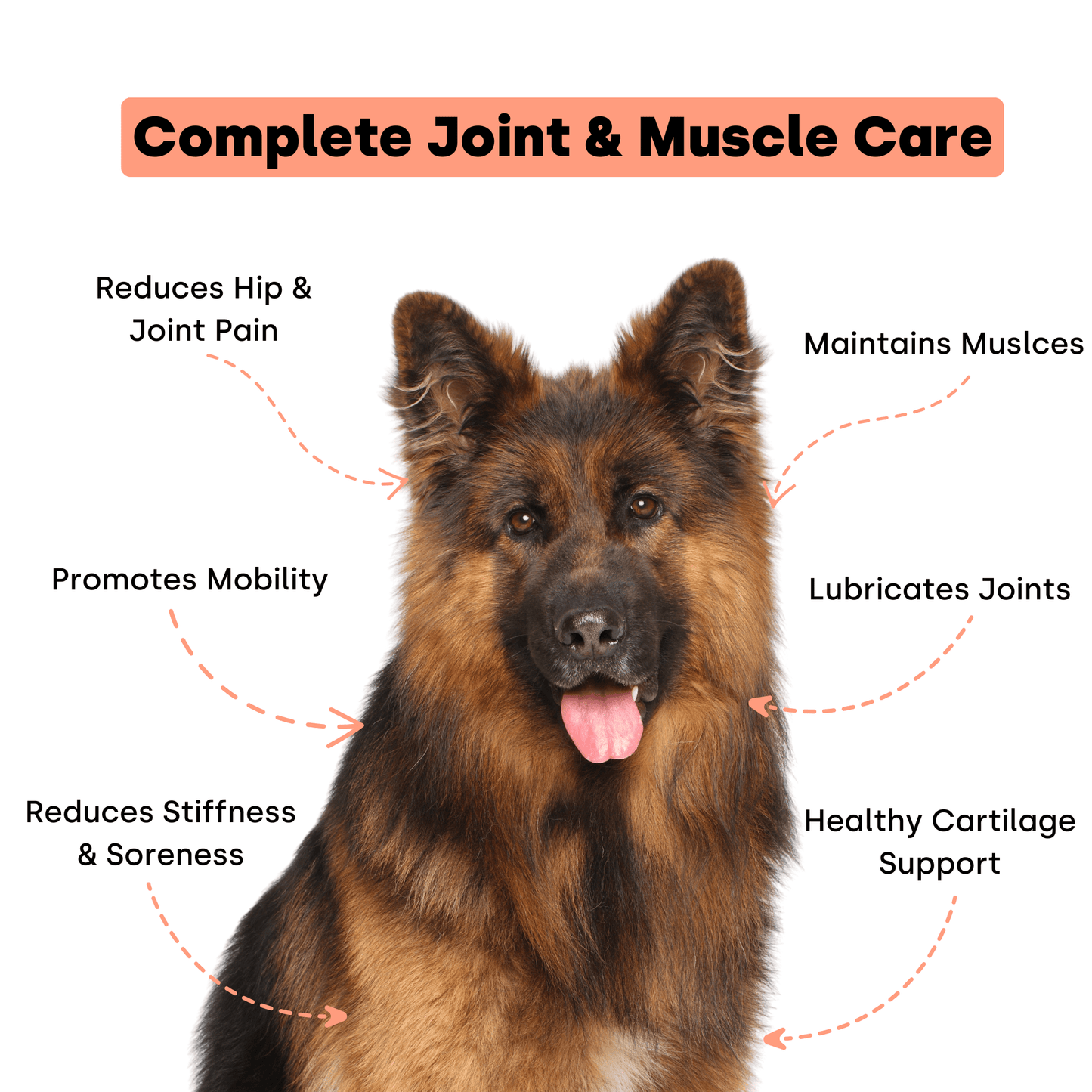 Joint & Recovery