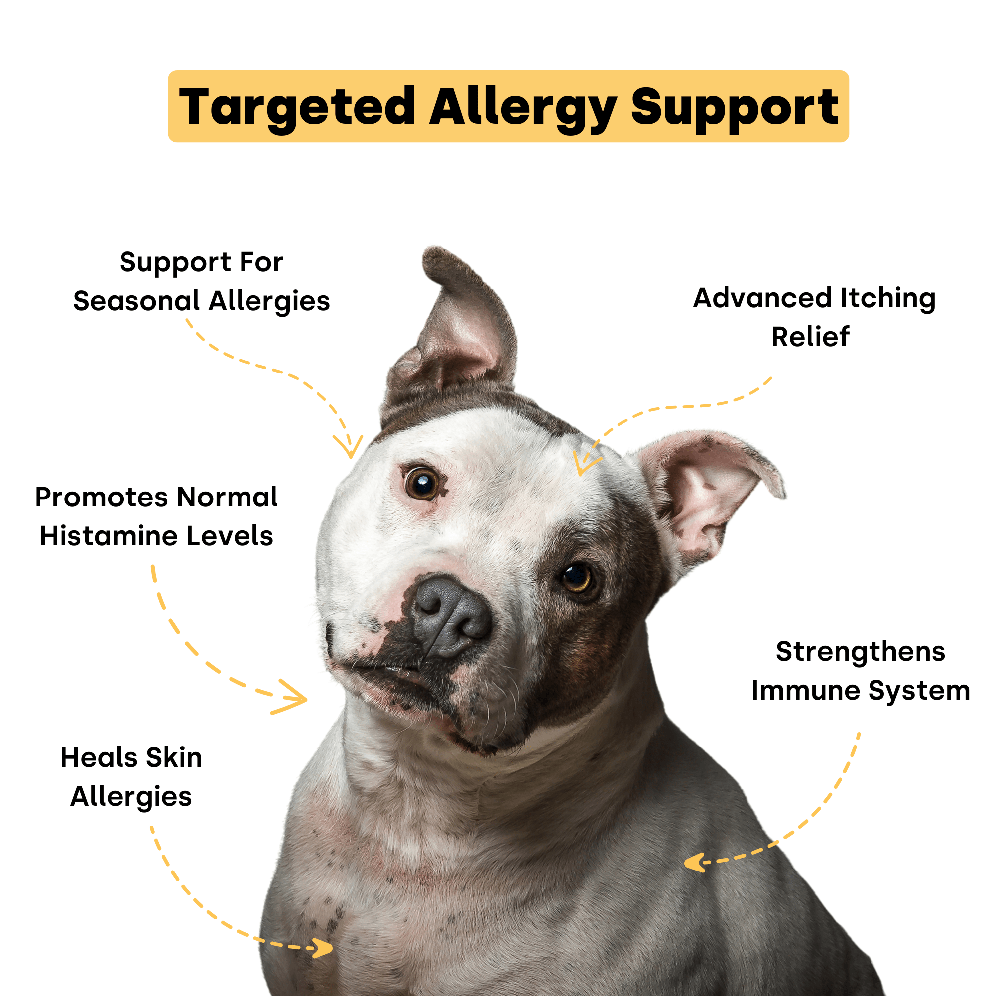 Container of Kayode Doggie Greens chews for dogs, promoting gut, skin, energy, and immunity.