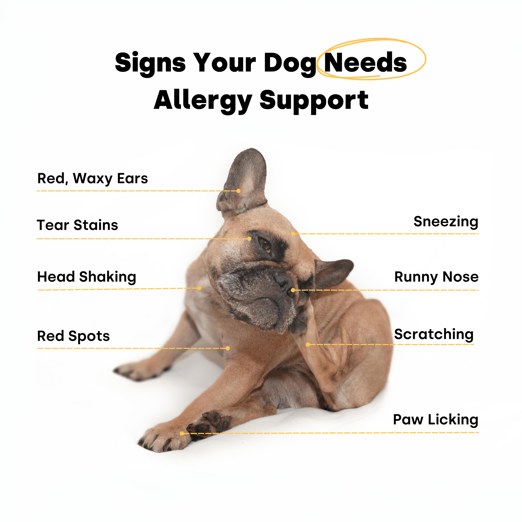 Container of Kayode Doggie Greens chews for dogs, promoting gut, skin, energy, and immunity.