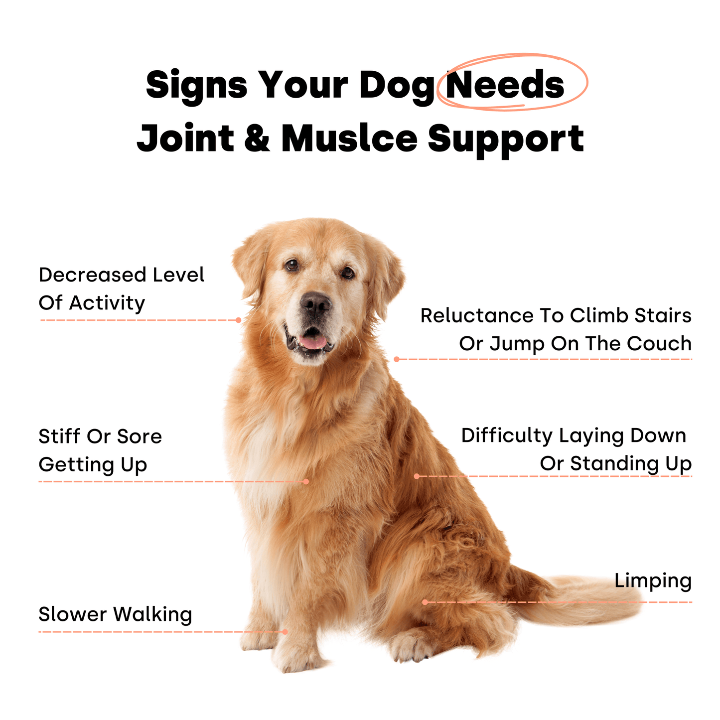 Joint & Recovery