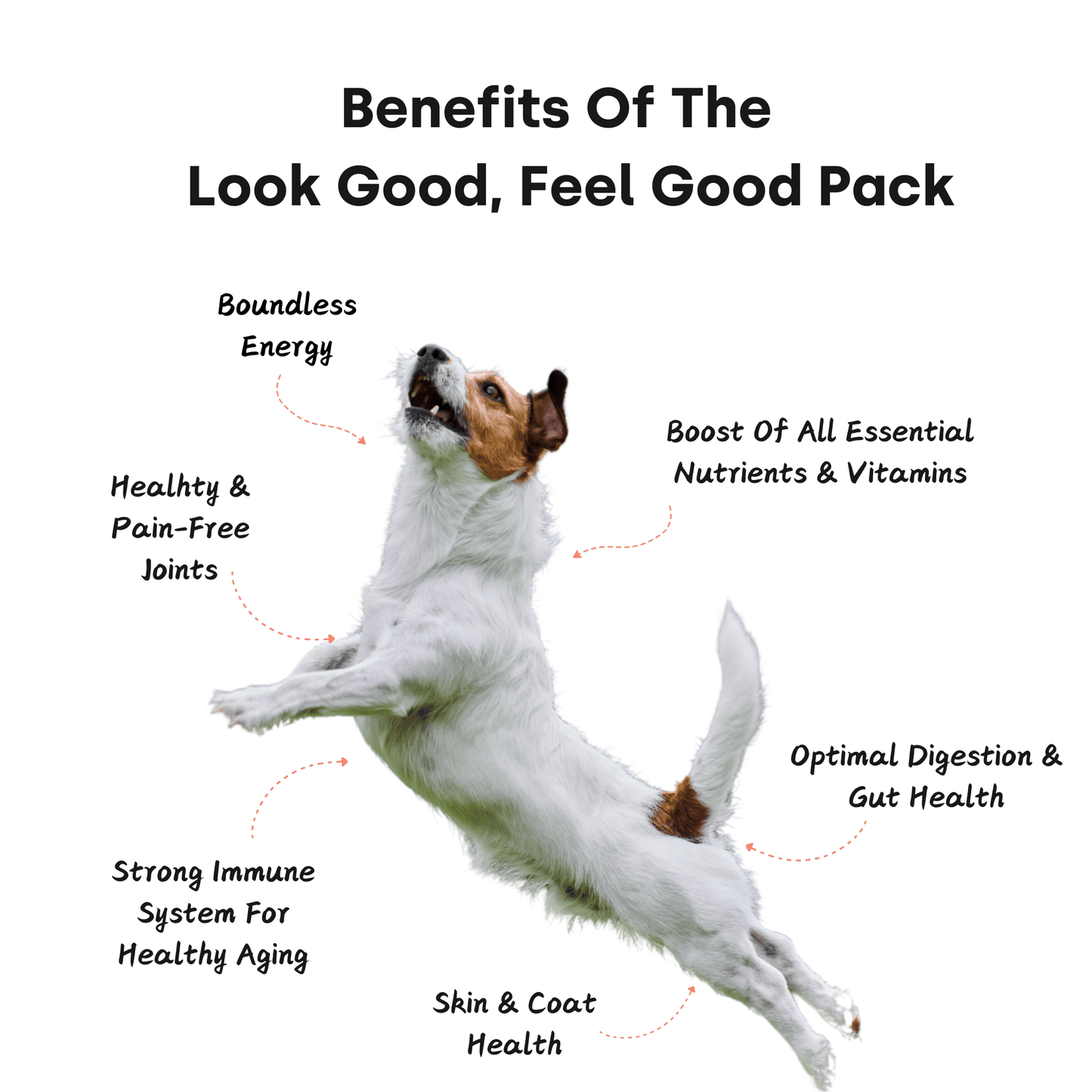 Look Good, Feel Good Pack