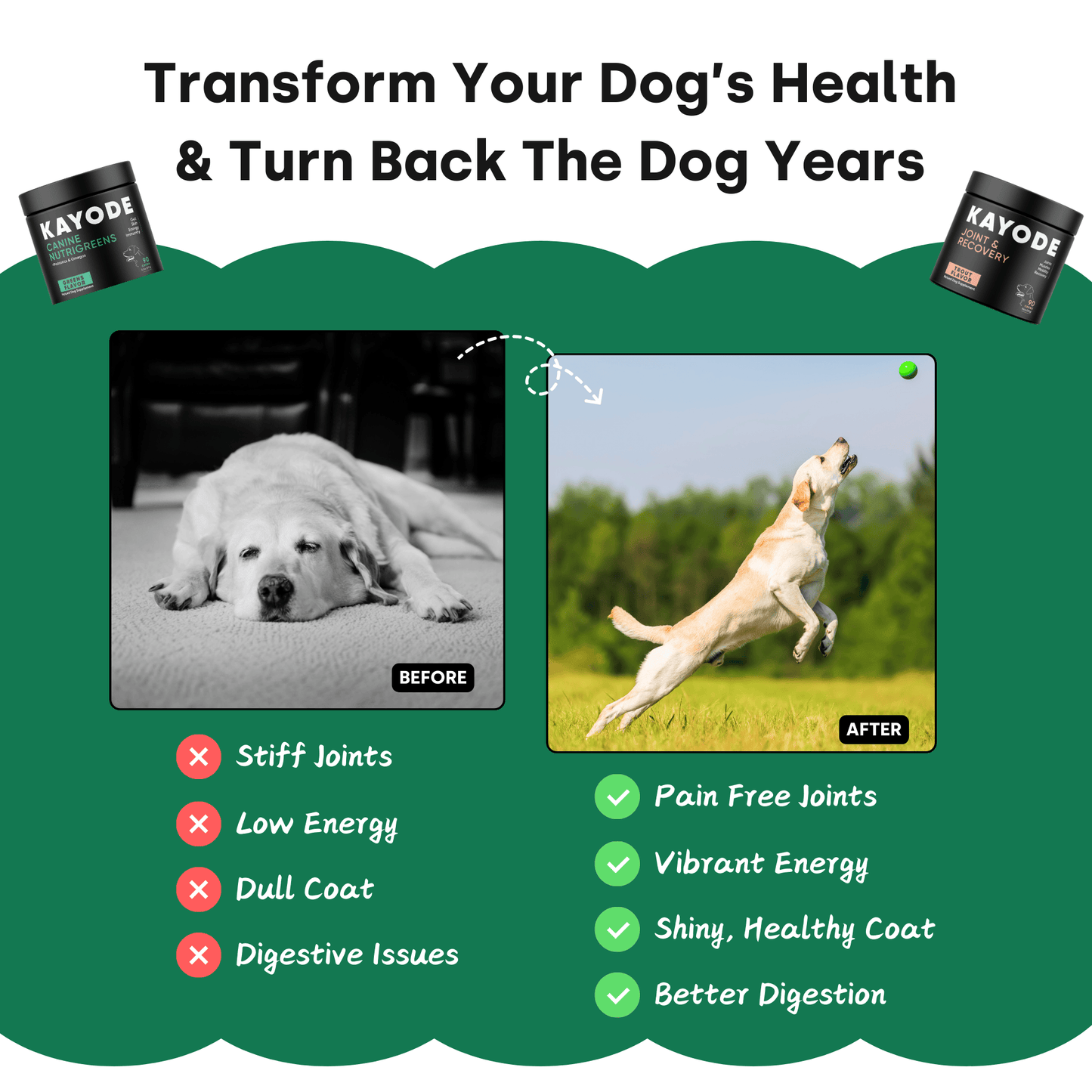 Look Good, Feel Good Pack