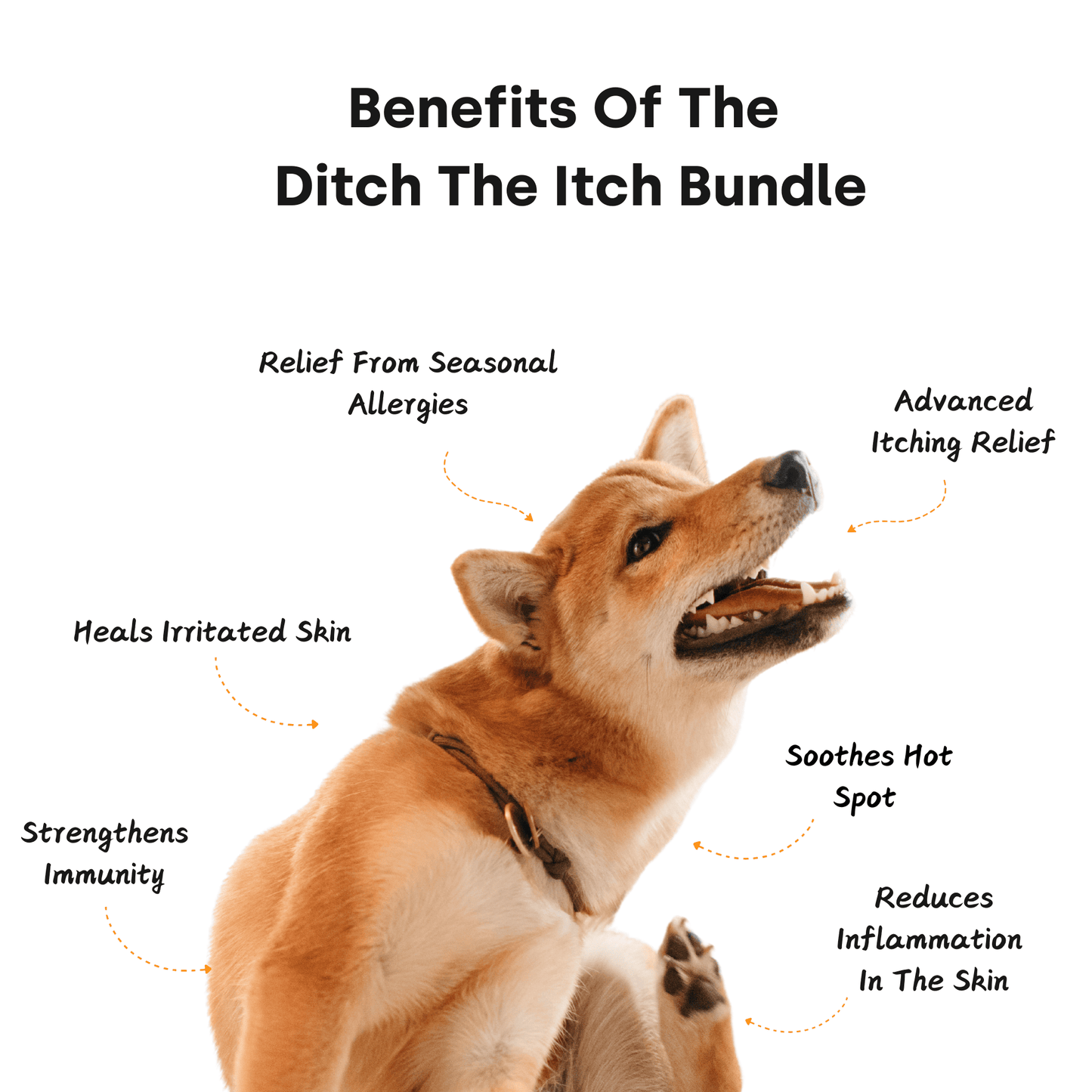 Ditch The Itch Bundle