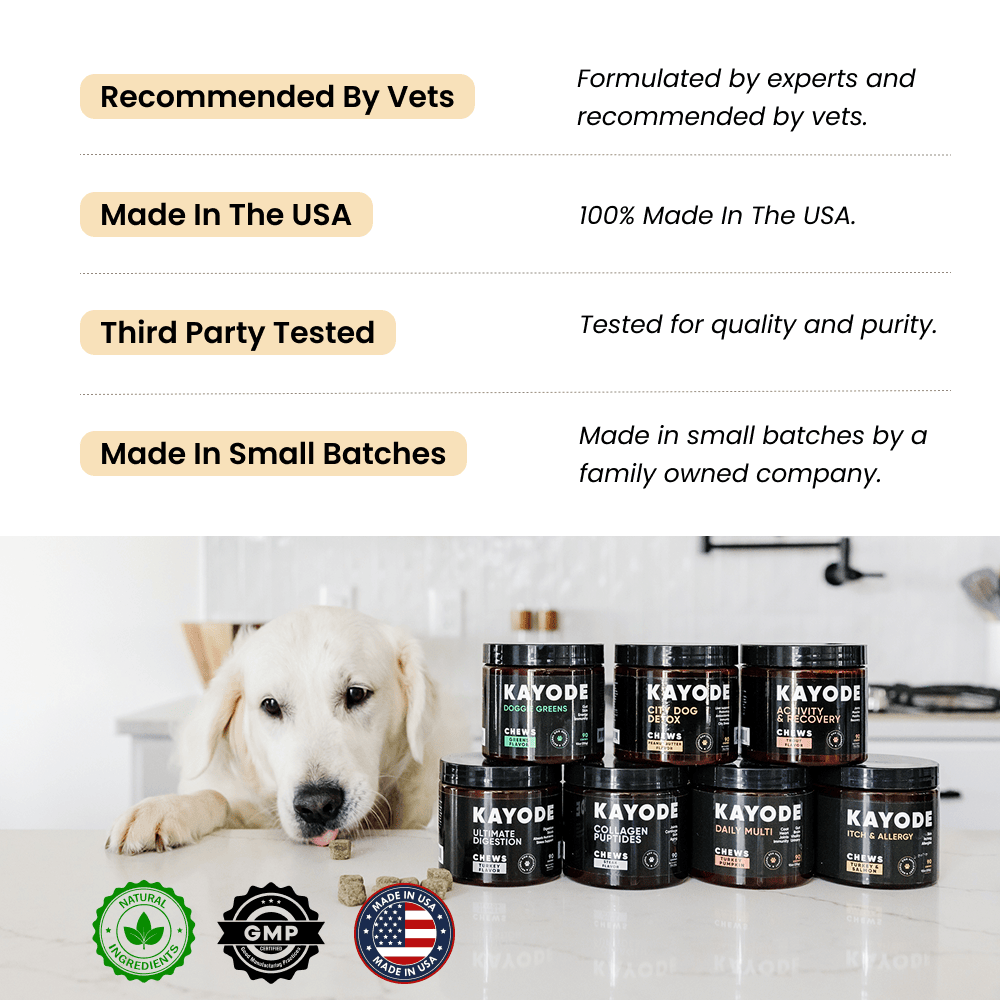 Doggie Detox
