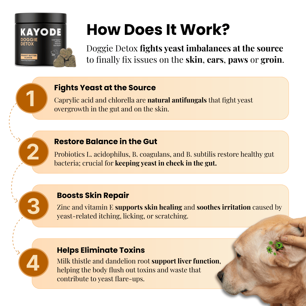 Doggie Detox