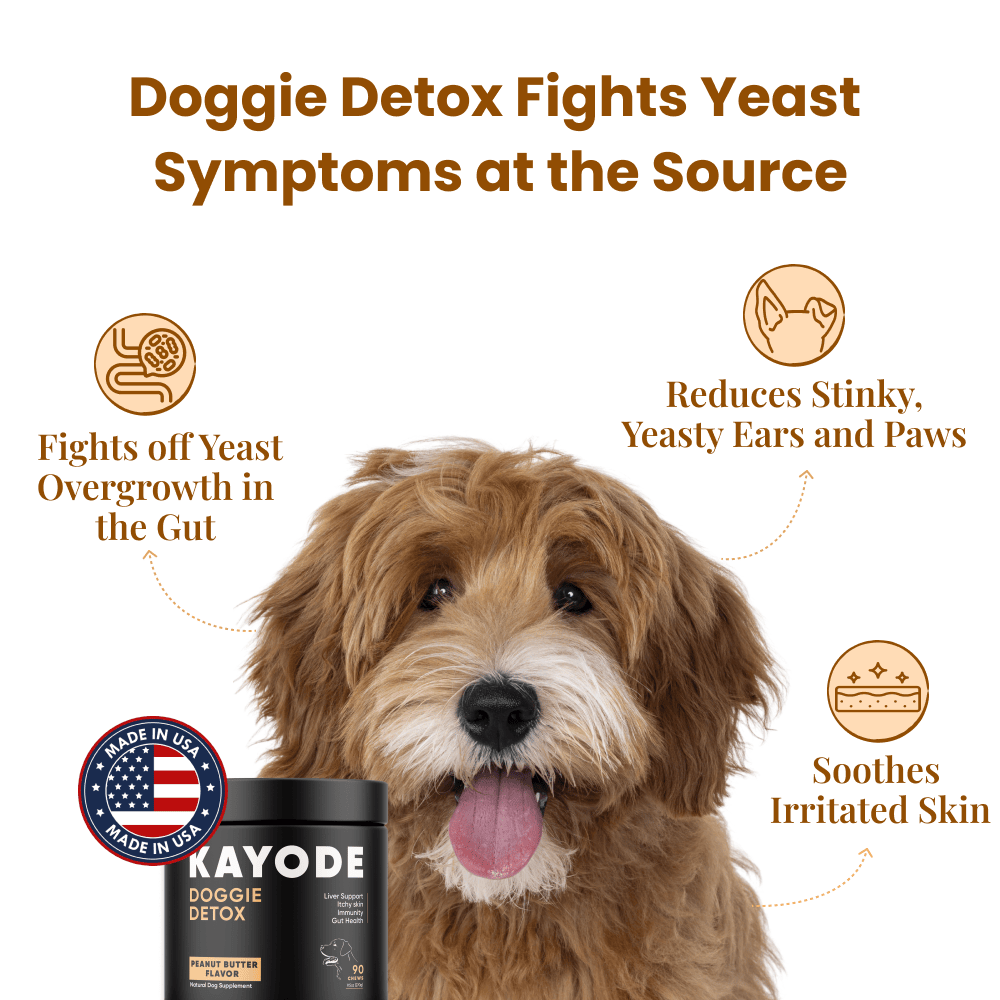 Doggie Detox