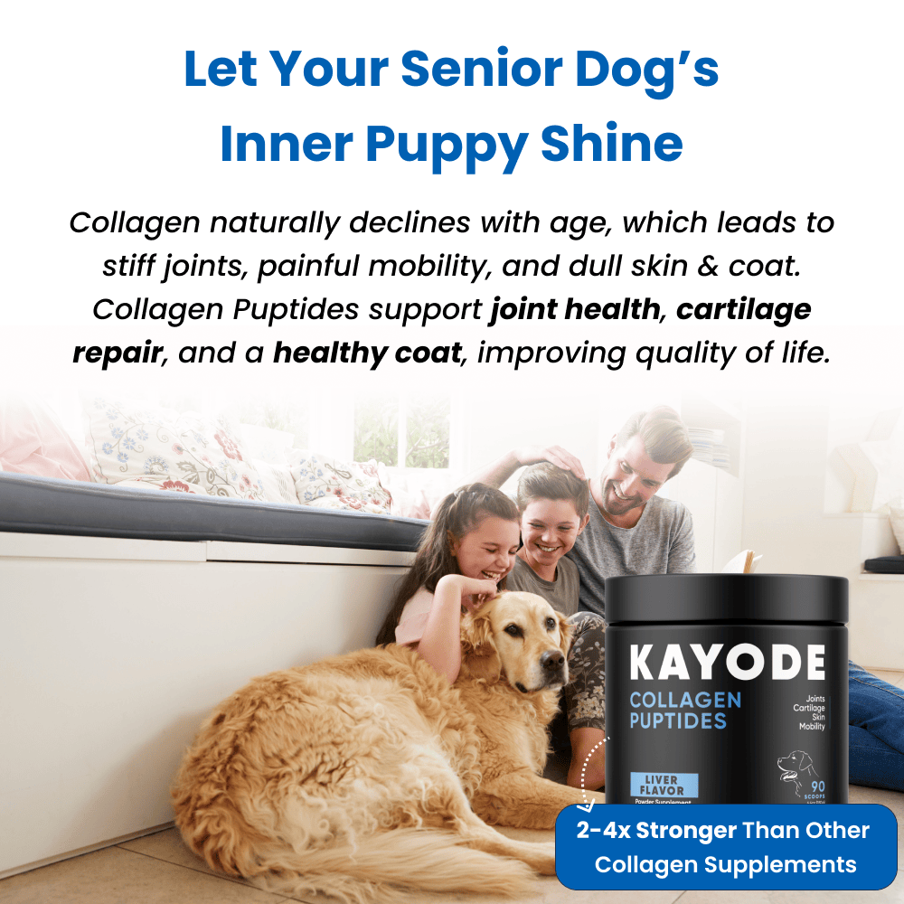 Collagen Puptides