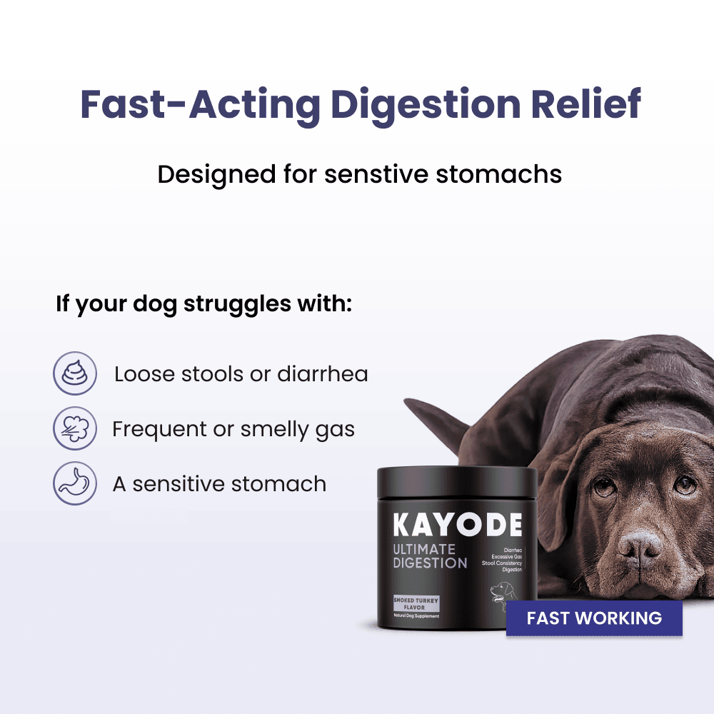 Ultimate Digestion