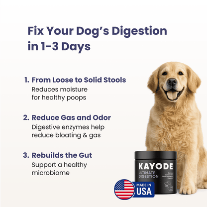 Ultimate Digestion