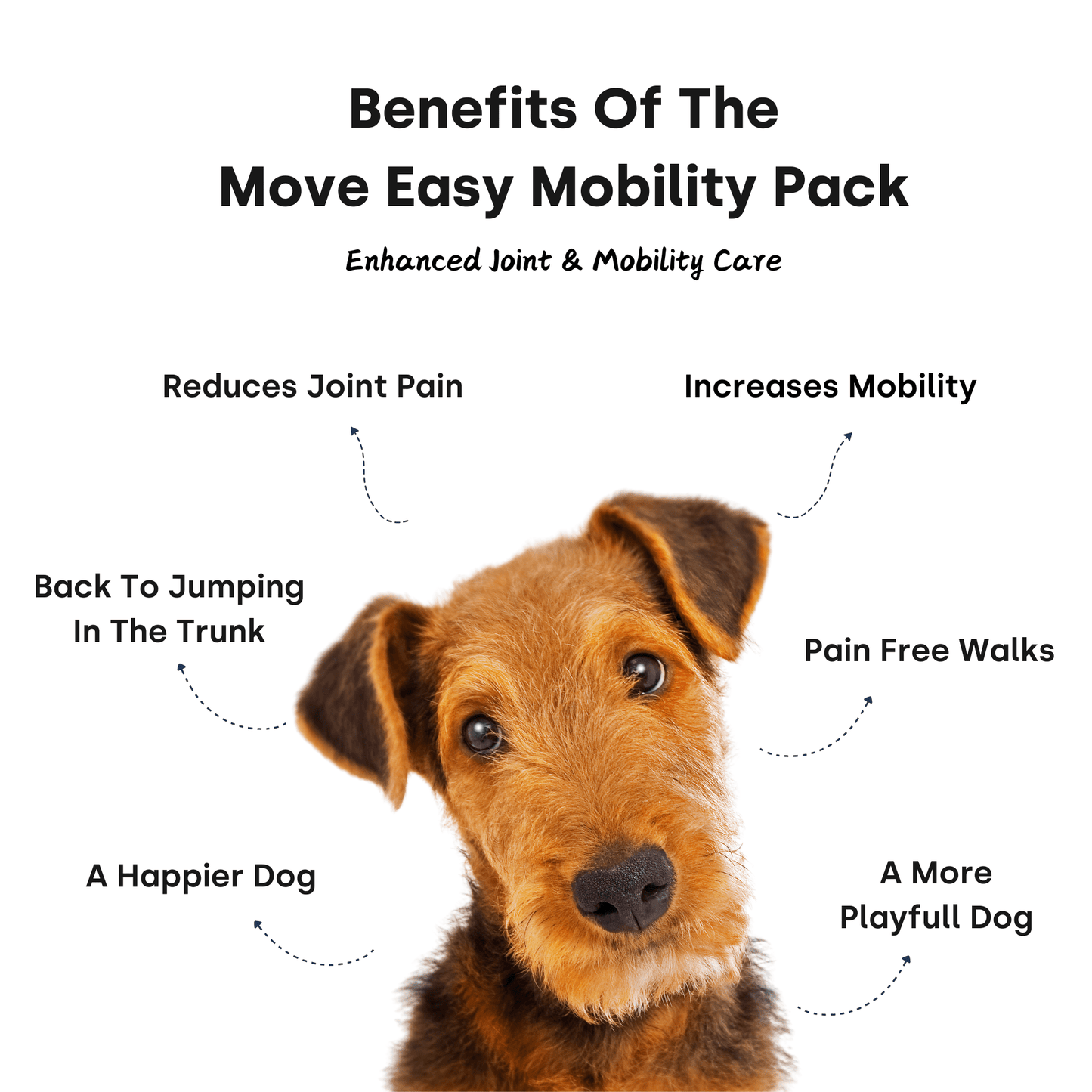 Move Easy Mobility Pack