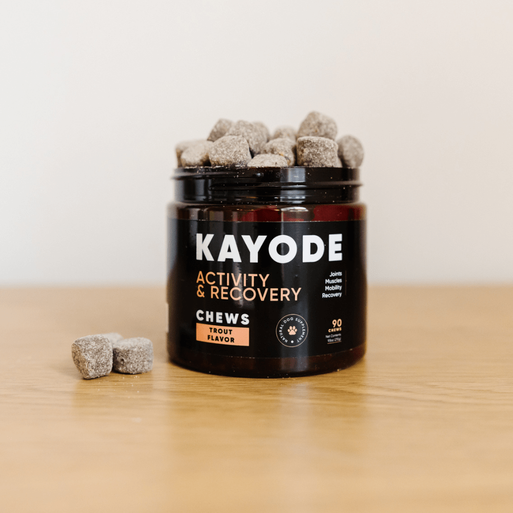 Kayode | Functional Modern Dog Supplements