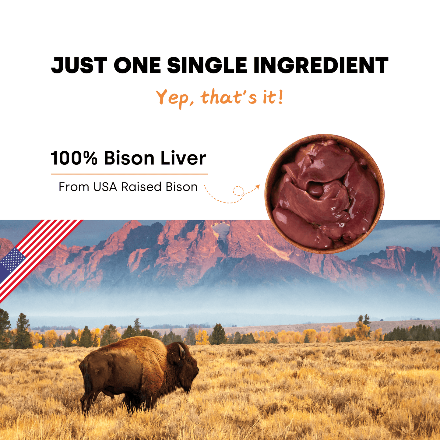 Bison Liver Treats