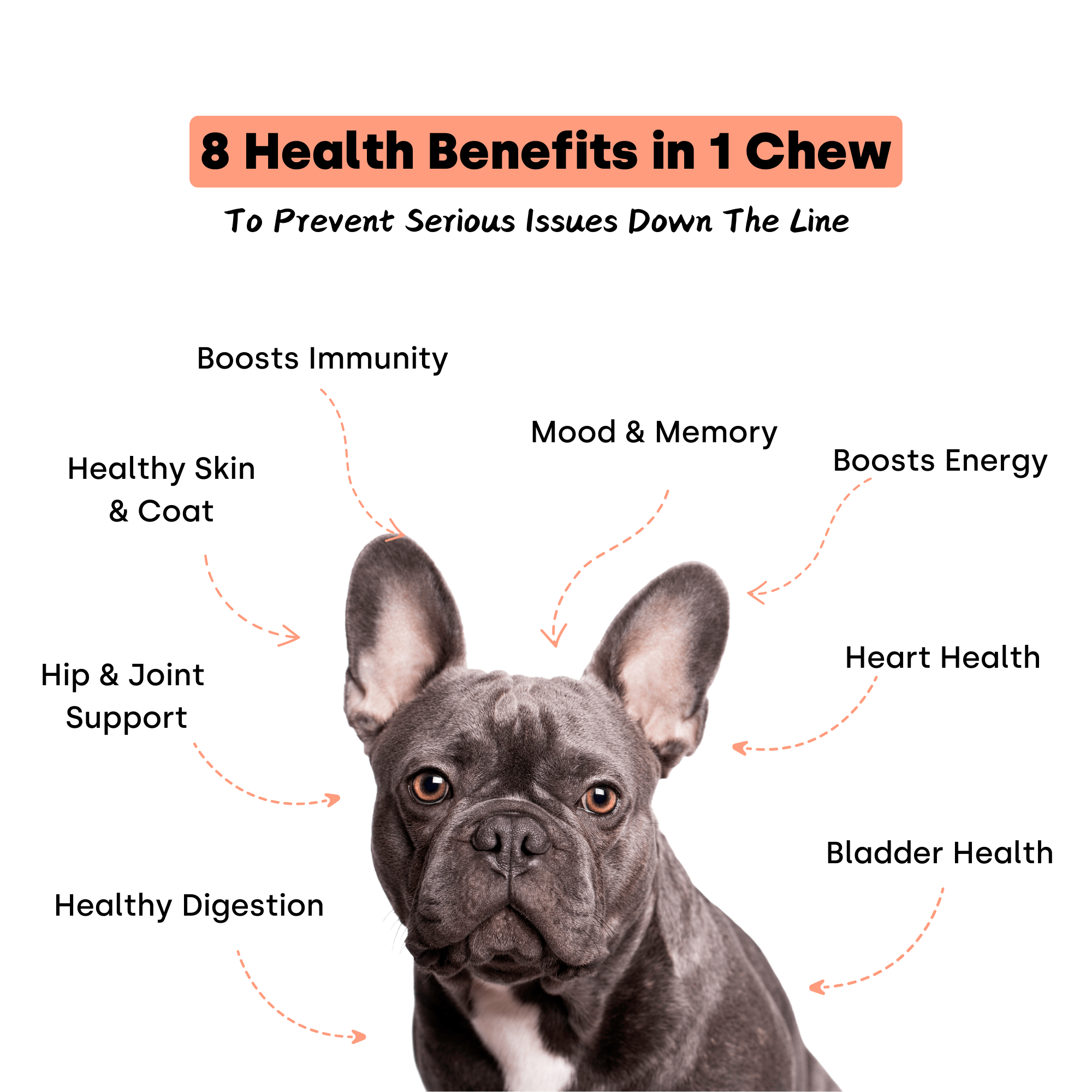 Container of Kayode Doggie Greens chews for dogs, promoting gut, skin, energy, and immunity.