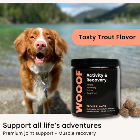 FREE Activity & Recovery Chews