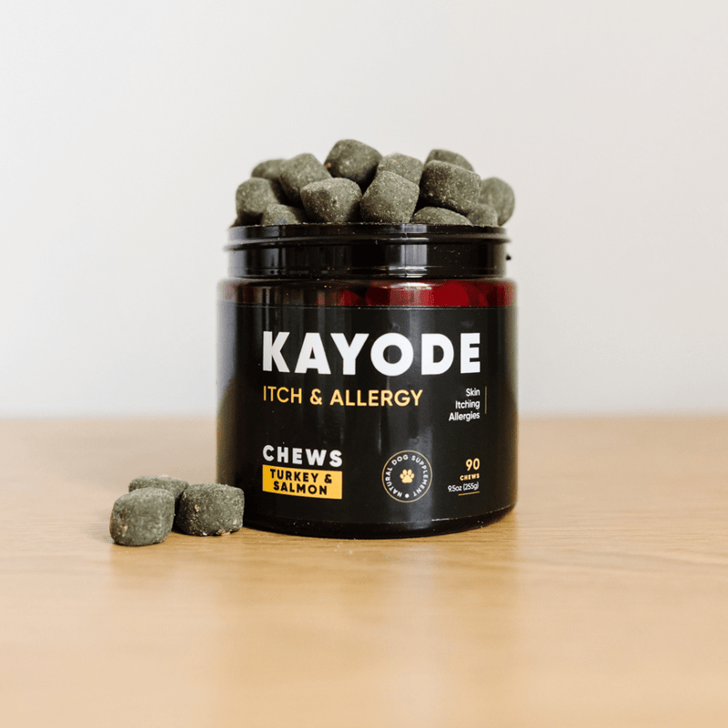 Kayode | Functional Modern Dog Supplements