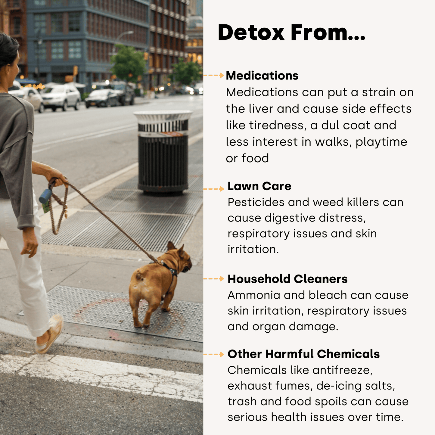 Doggie Detox