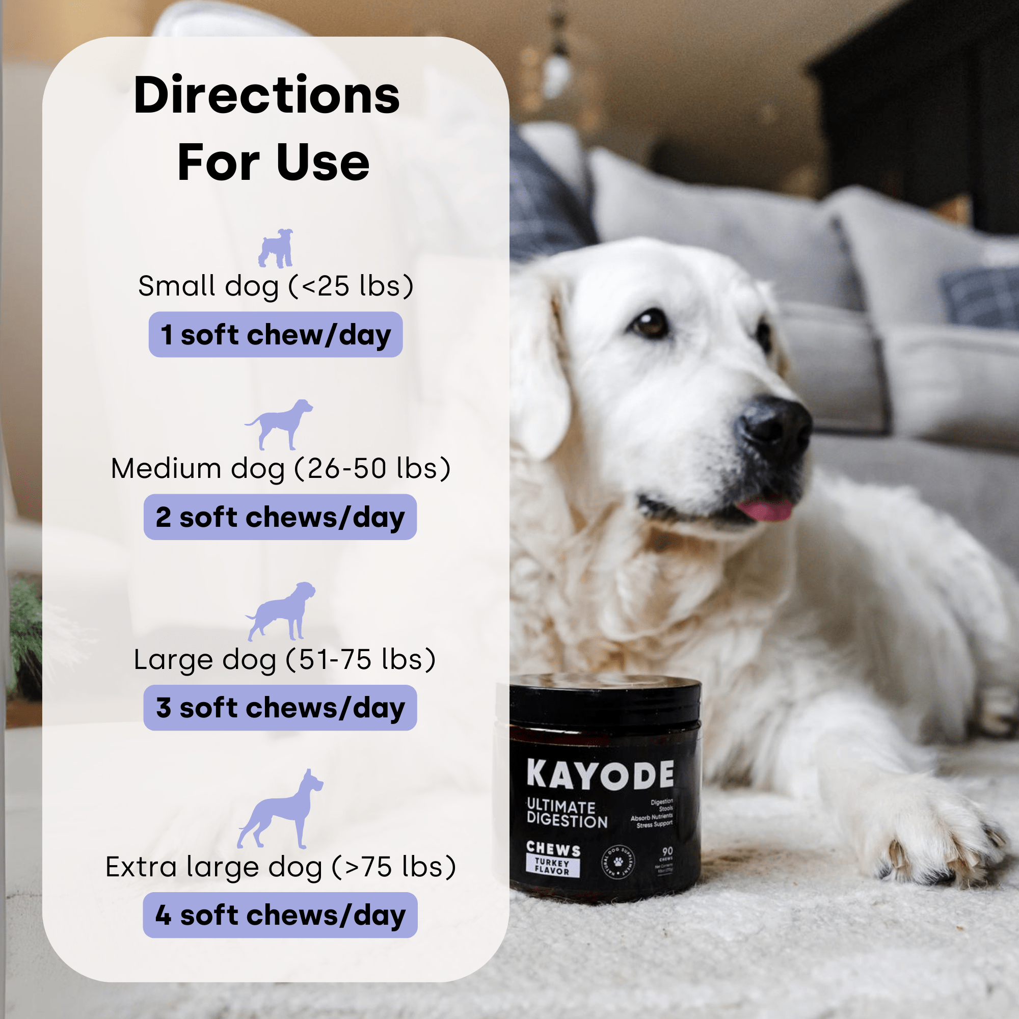 Container of Kayode Doggie Greens chews for dogs, promoting gut, skin, energy, and immunity.