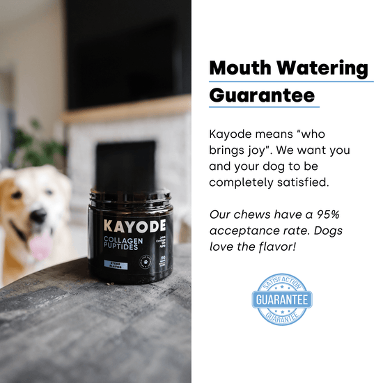 Collagen Puptides - Premium Collagen For Dogs – Kayode