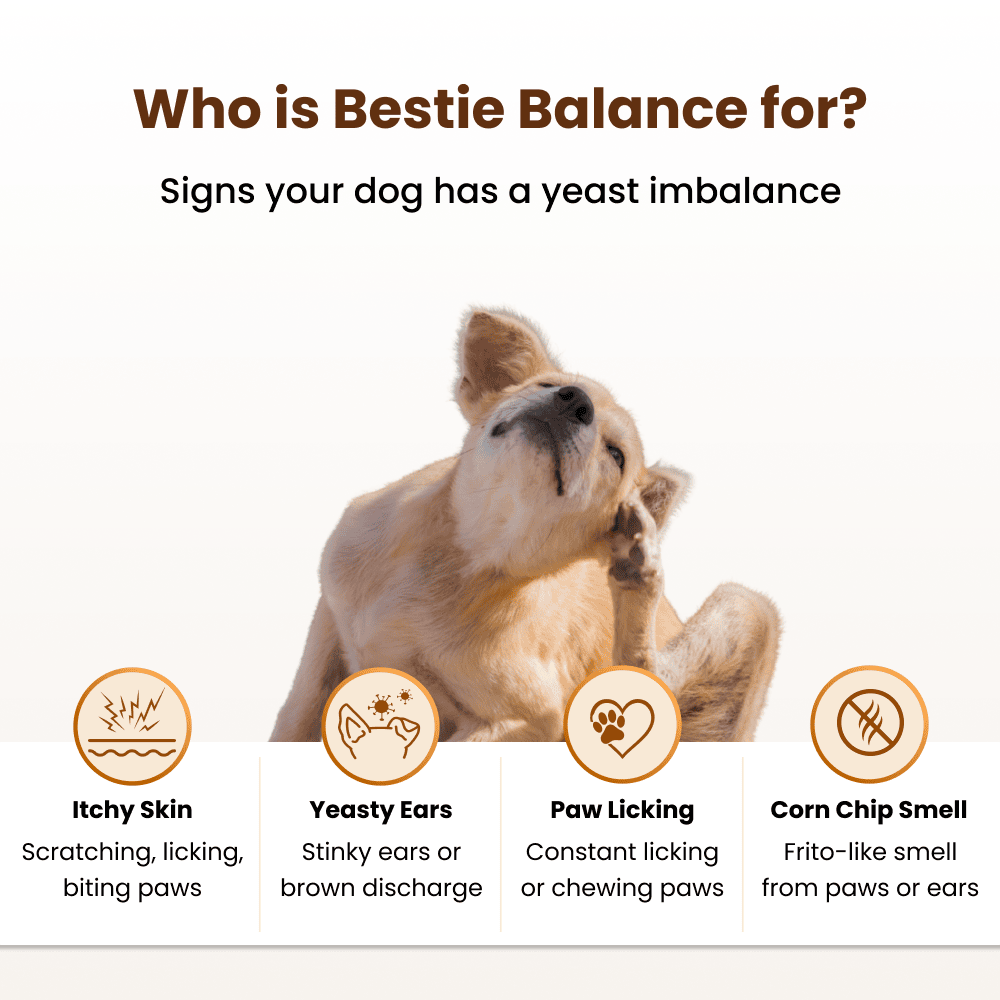 Bestie Balance