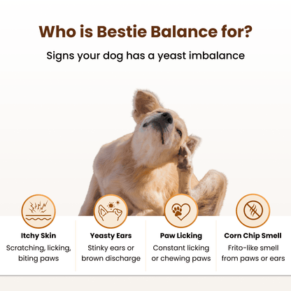 Bestie Balance