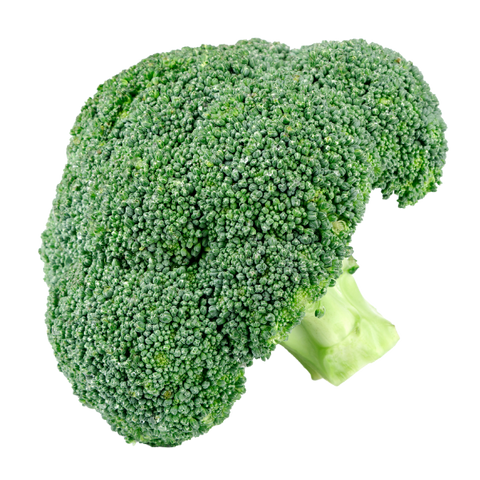 Broccoli