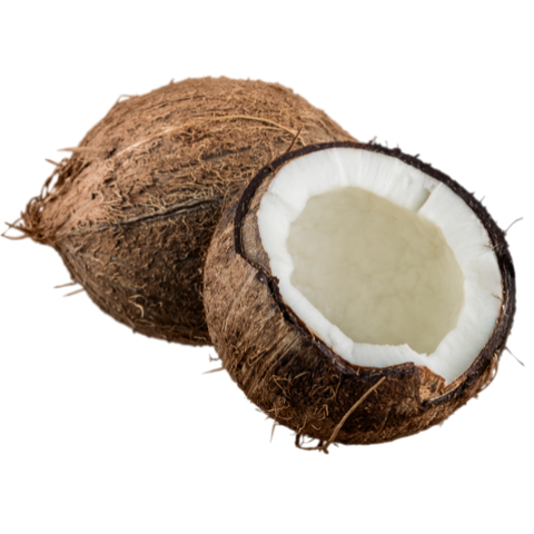 Coconut