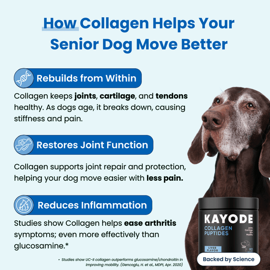 Collagen Puptides - Premium Collagen For Dogs – Kayode