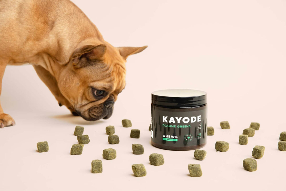 Kayode | Functional Modern Dog Supplements