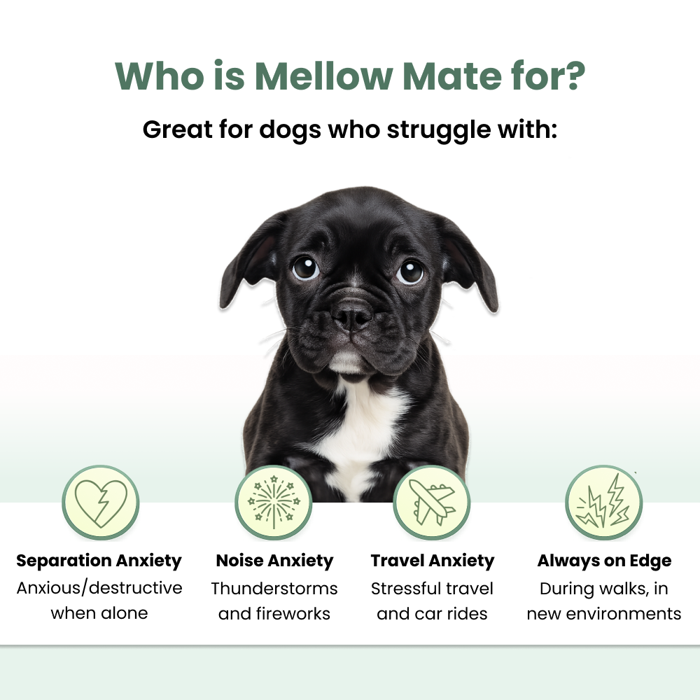 Mellow Mate