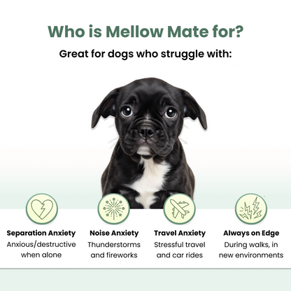 Mellow Mate