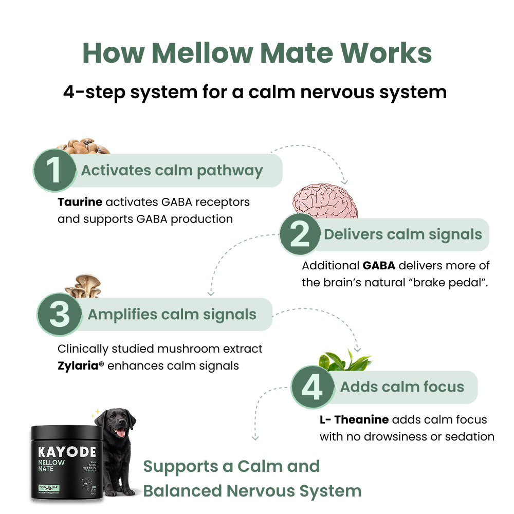 Mellow Mate