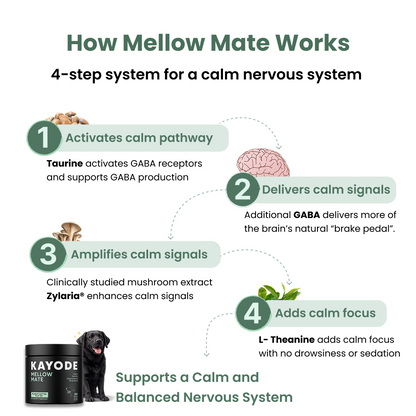 Mellow Mate