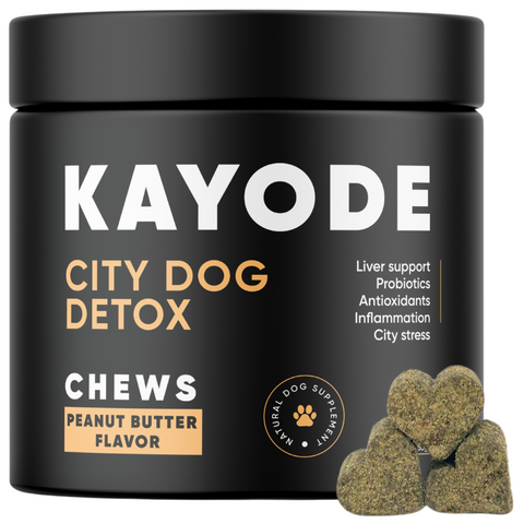 City Dog Detox