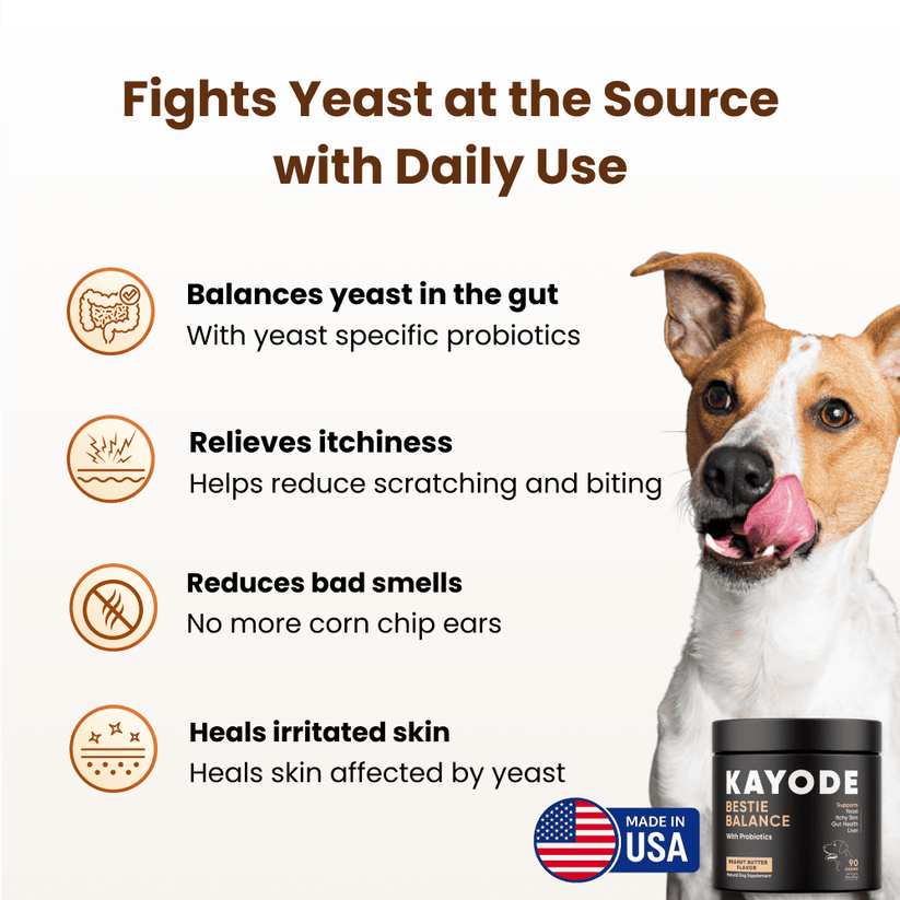 Bestie Balance - For Dog Yeast Overgrowth & Itchy Skin. Includes ...