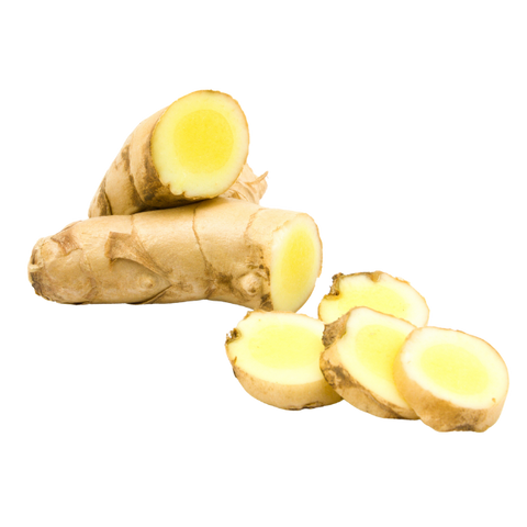 White Turmeric