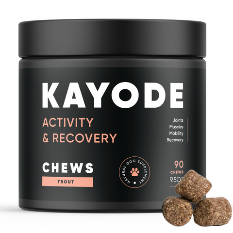 FREE Activity & Recovery Chews