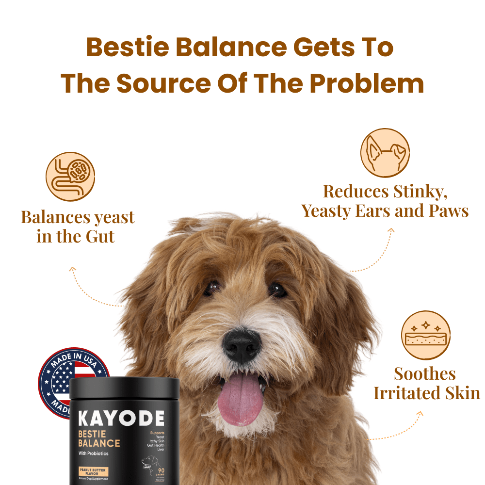 Bestie Balance