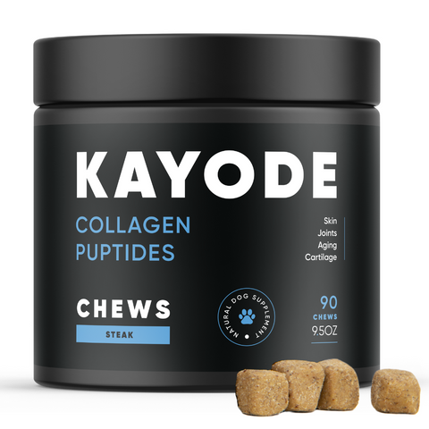 Collagen supplements for dogs hot sale