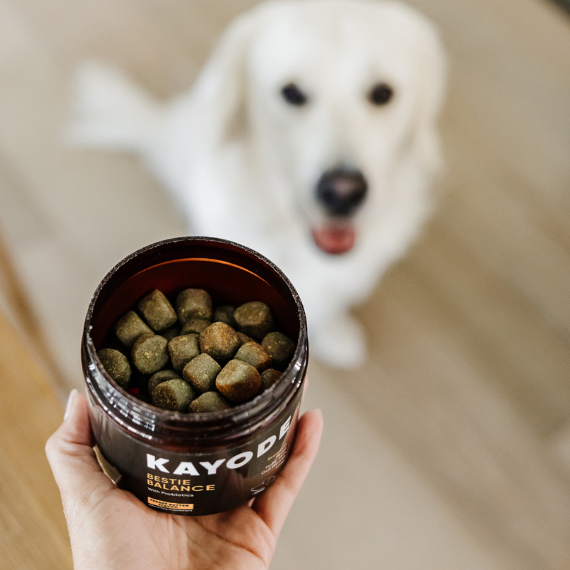 Hand holding an open jar of Bestie Balance chews with a dog in the background